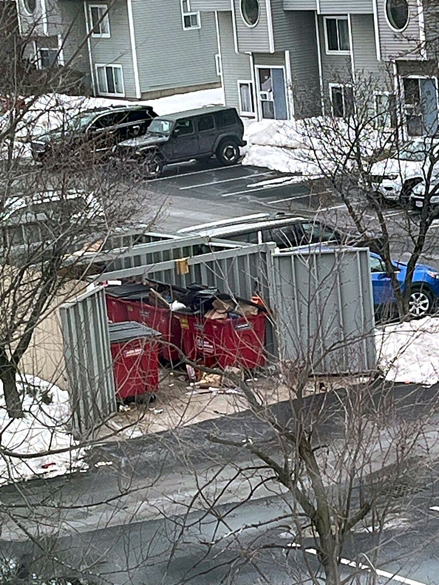 Image submitted with report