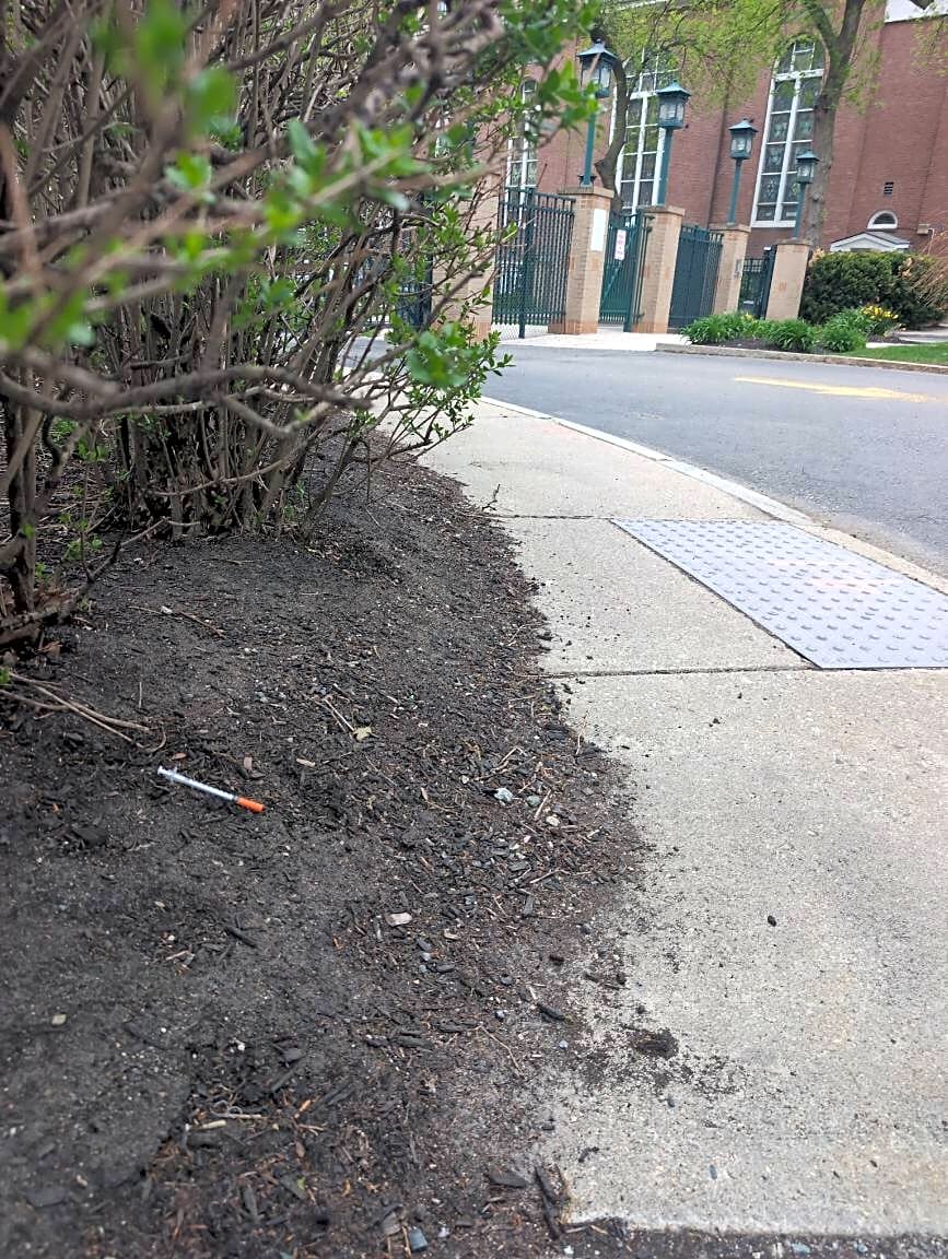 Image submitted with report