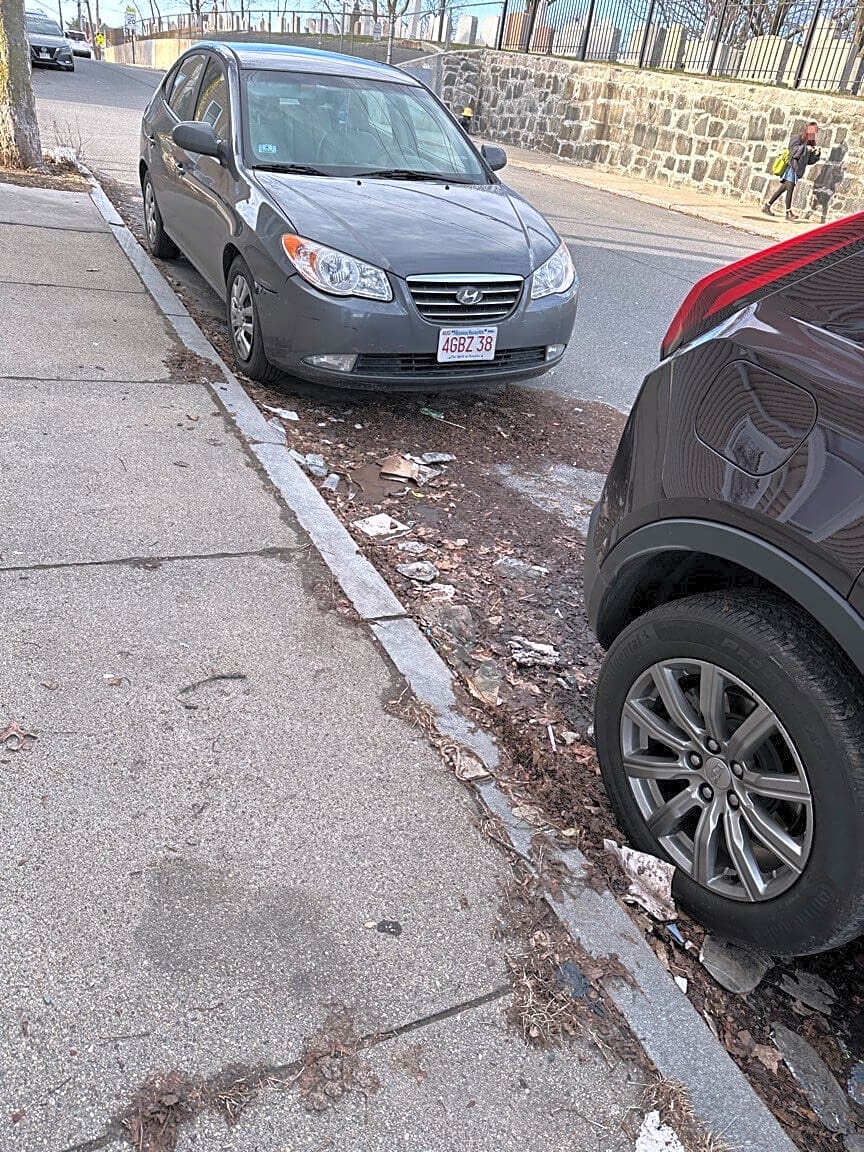 Image submitted with report