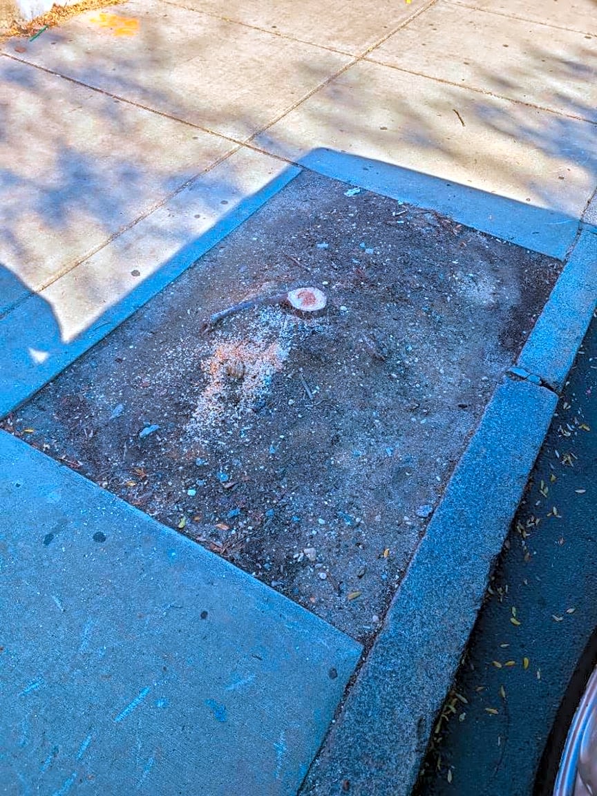 Image submitted with report