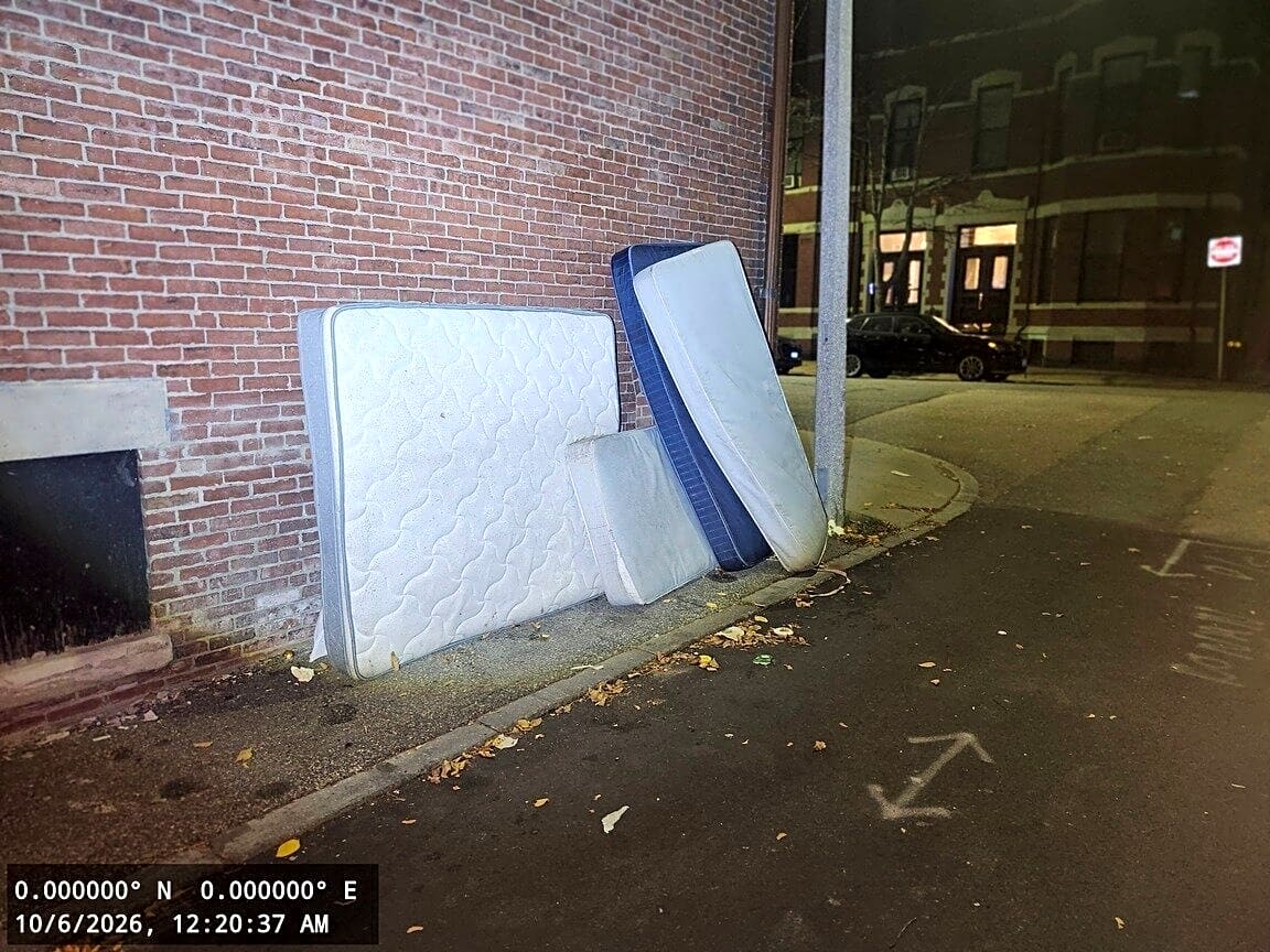 Image submitted with report