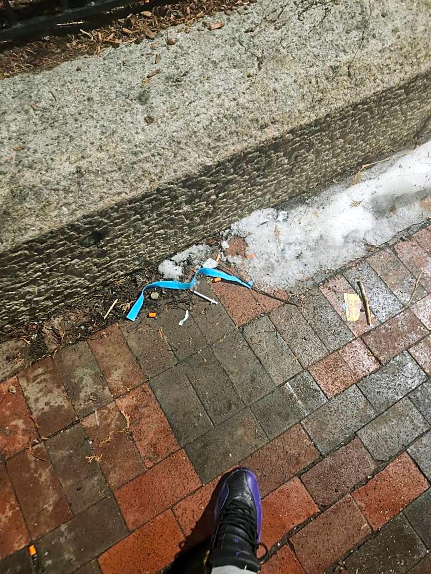 Image submitted with report