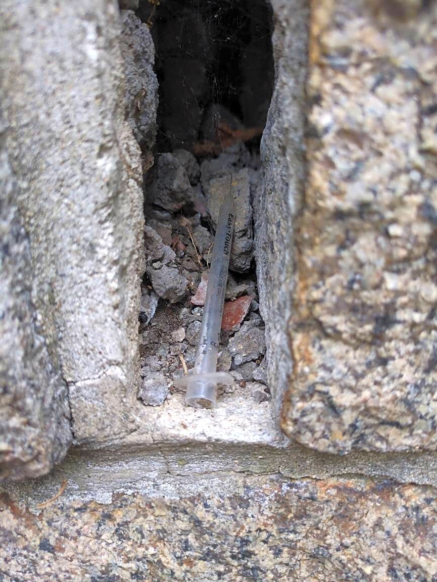 Image submitted with report