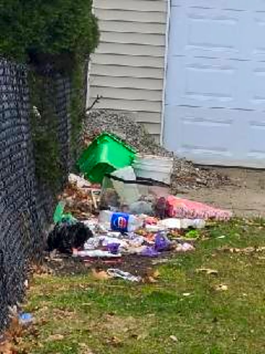 Image submitted with report