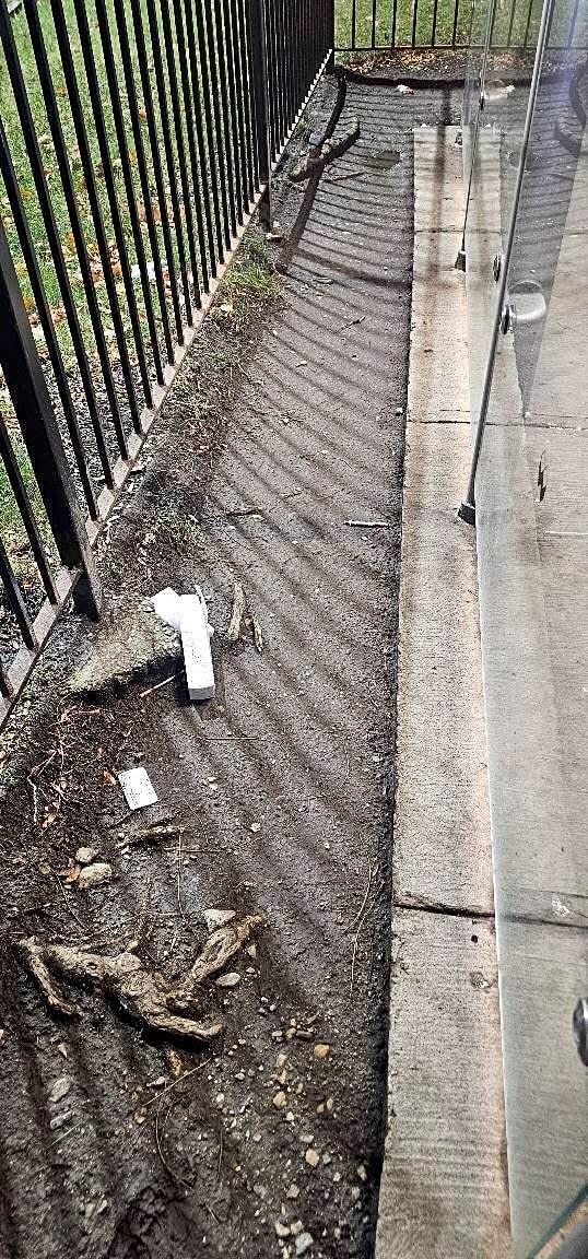 Image submitted with report