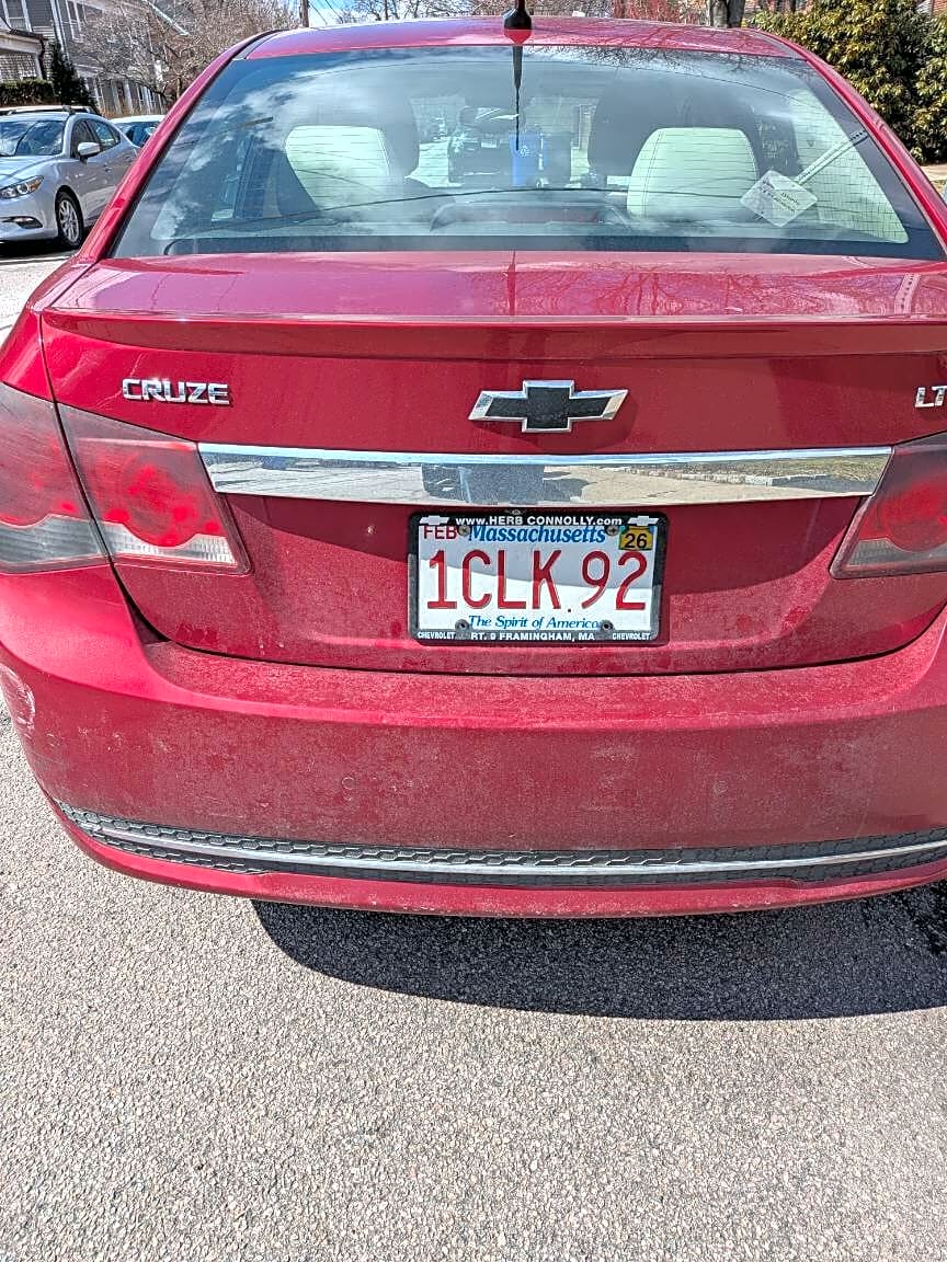 Image submitted with report