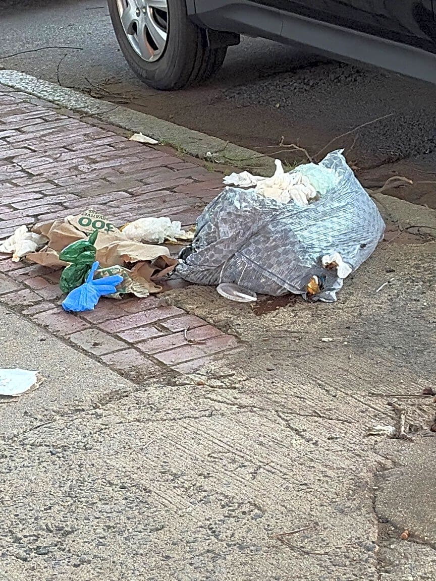 Image submitted with report
