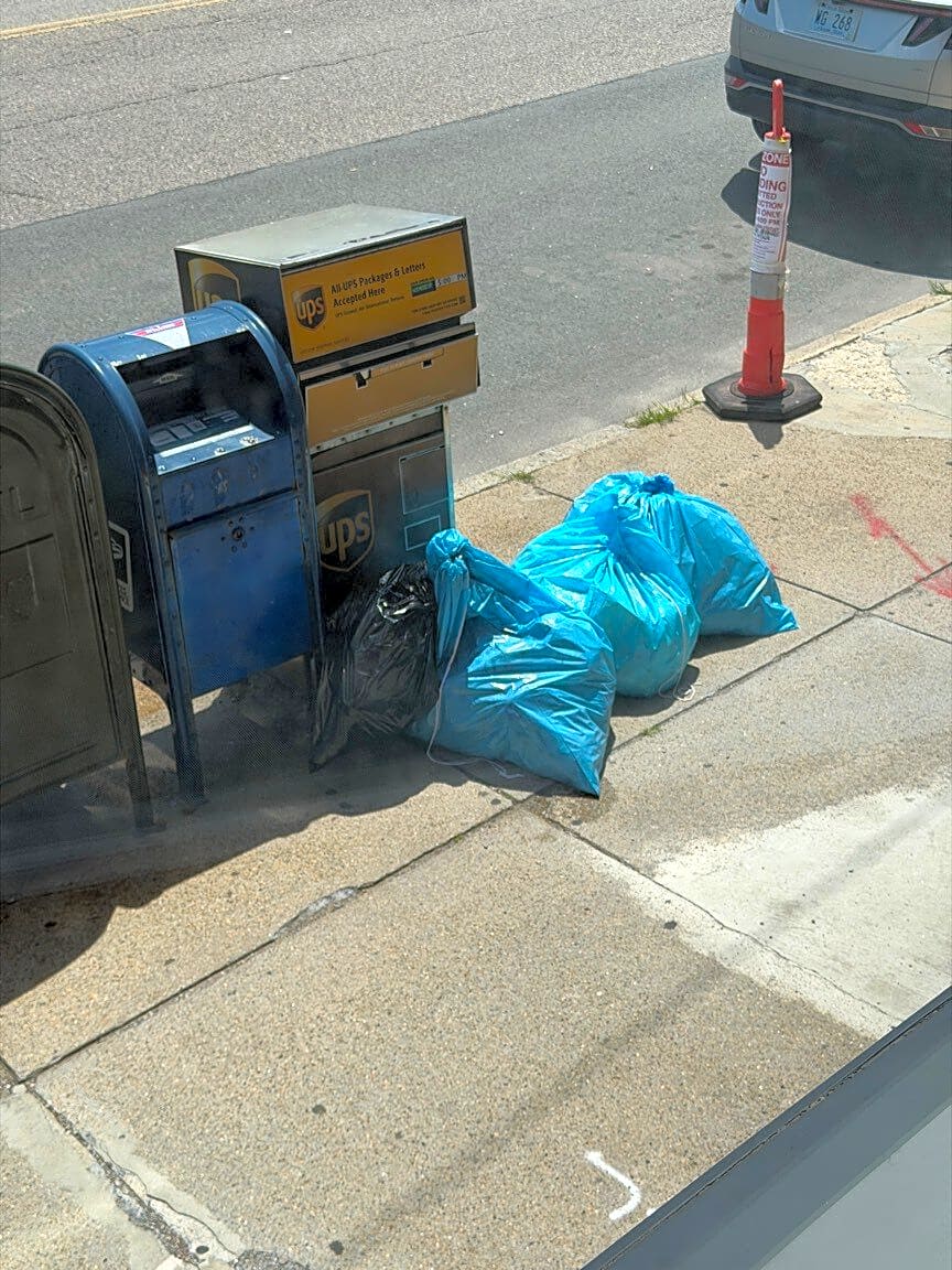 Image submitted with report