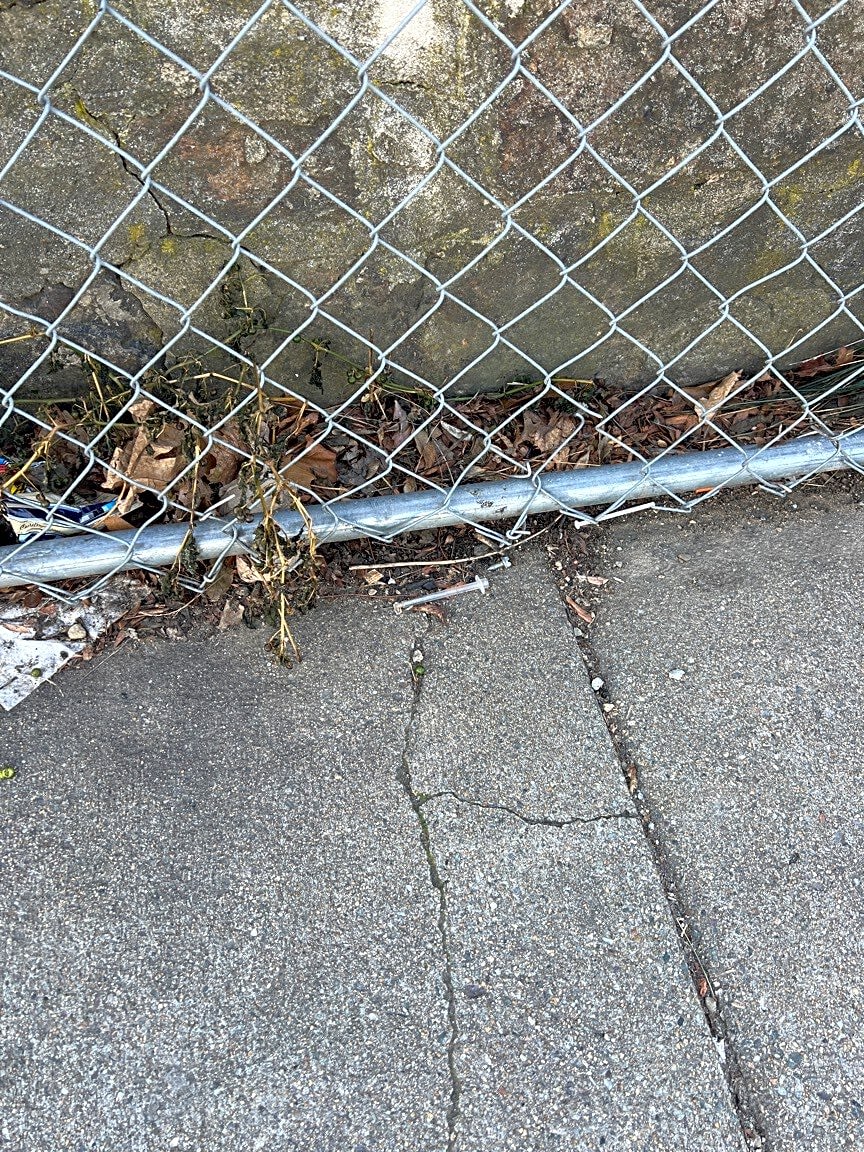 Image submitted with report