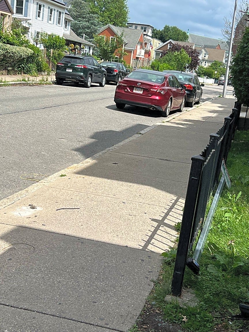 Image submitted with report