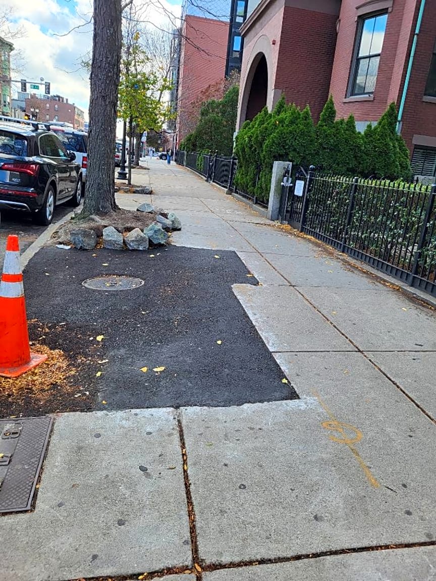 Image submitted with report