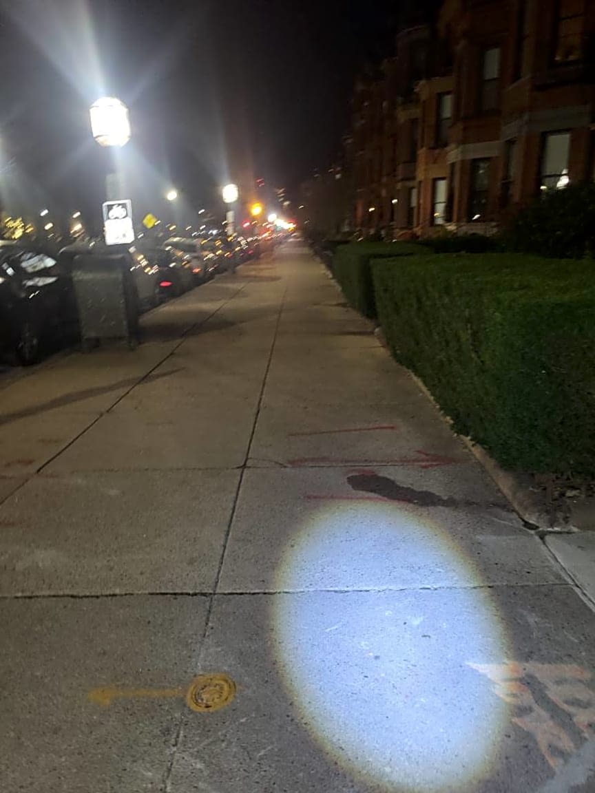 Image submitted with report