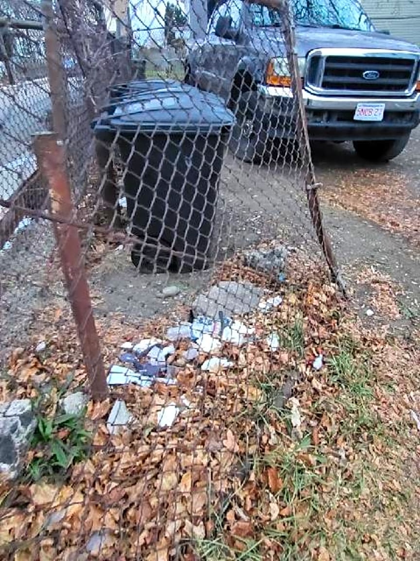 Image submitted with report