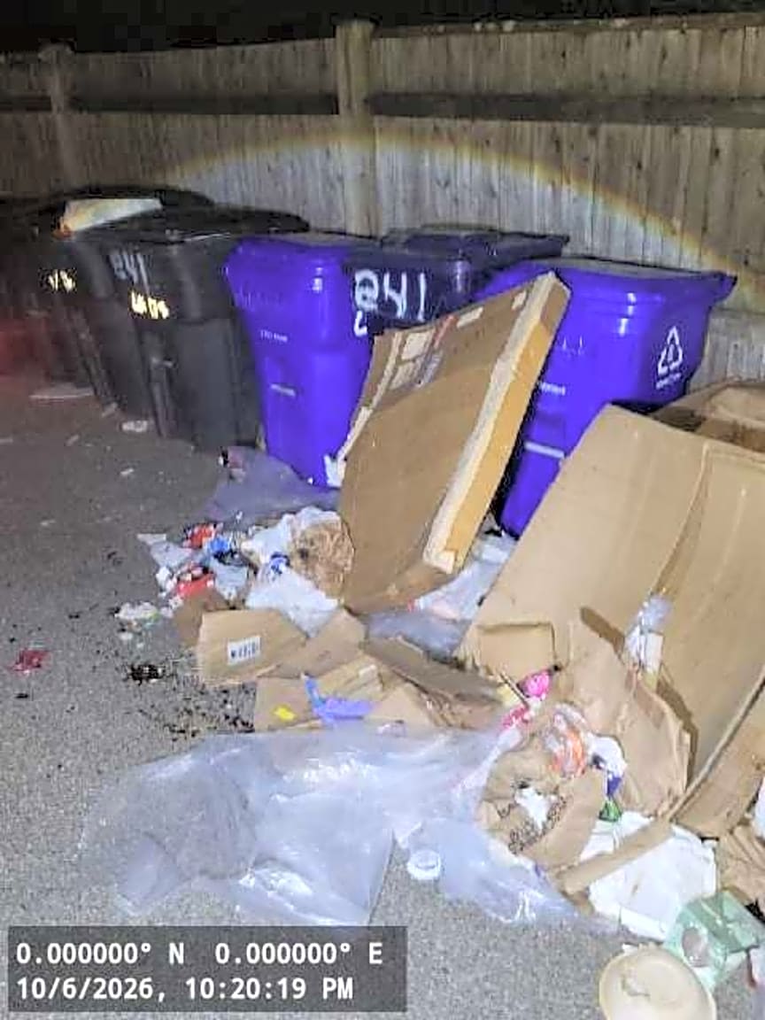 Image submitted with report