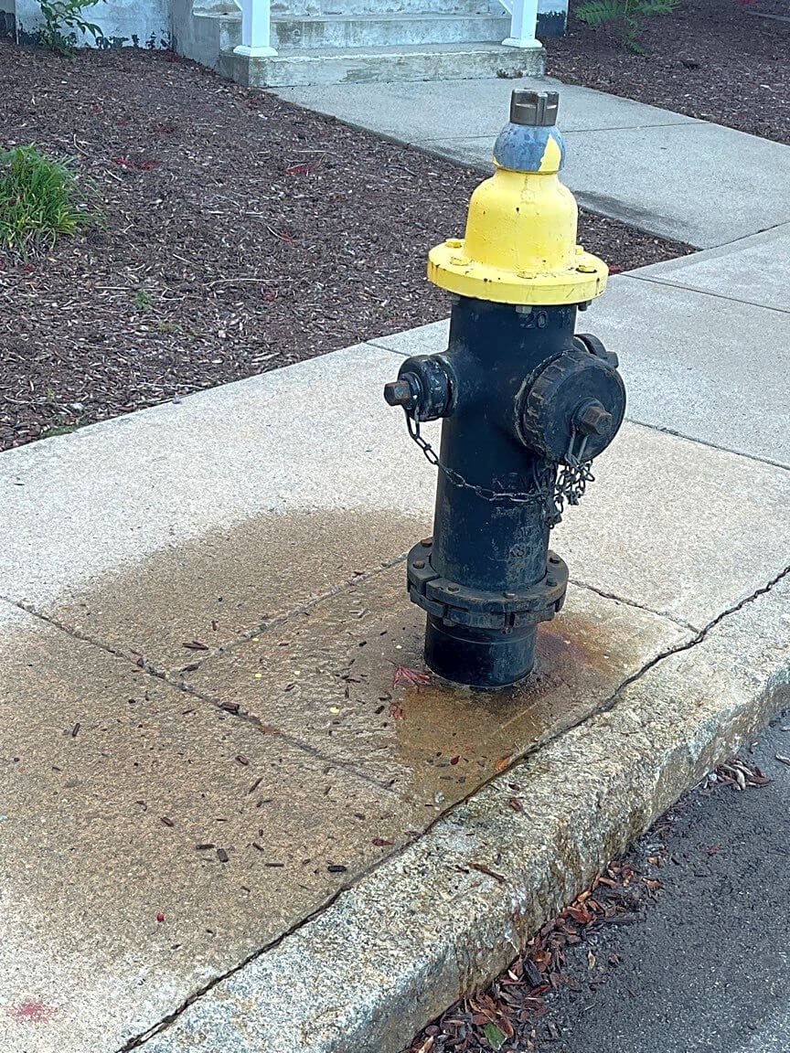 Image submitted with report