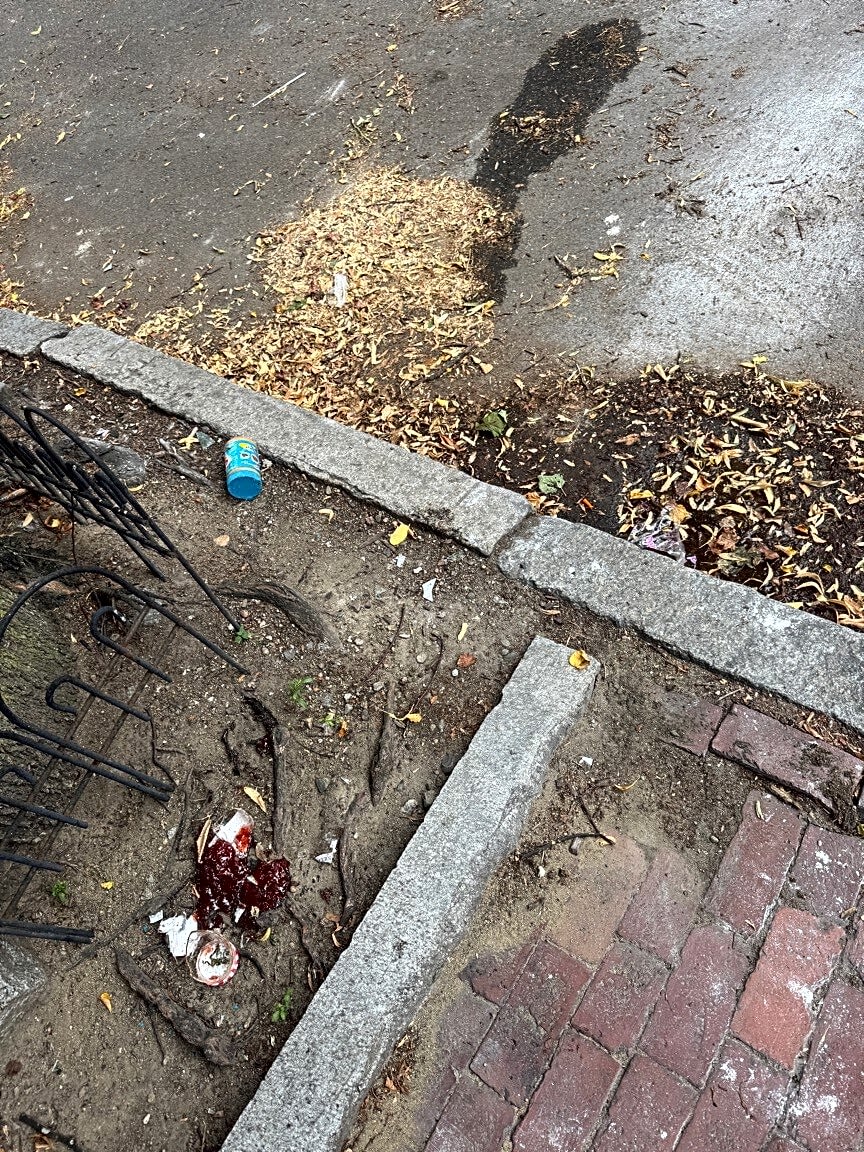Image submitted with report