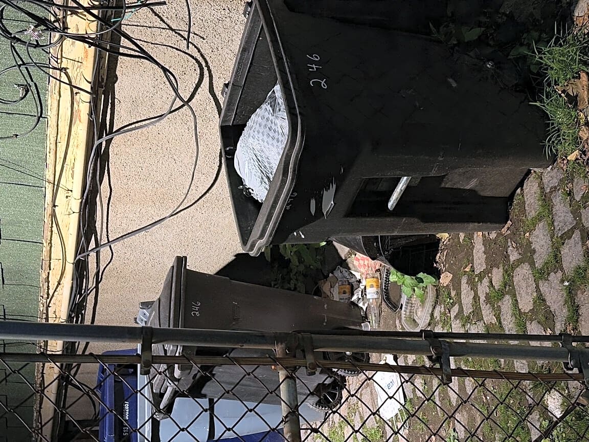Image submitted with report