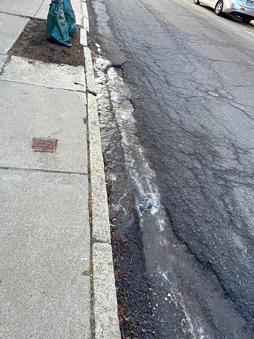 Image submitted with report