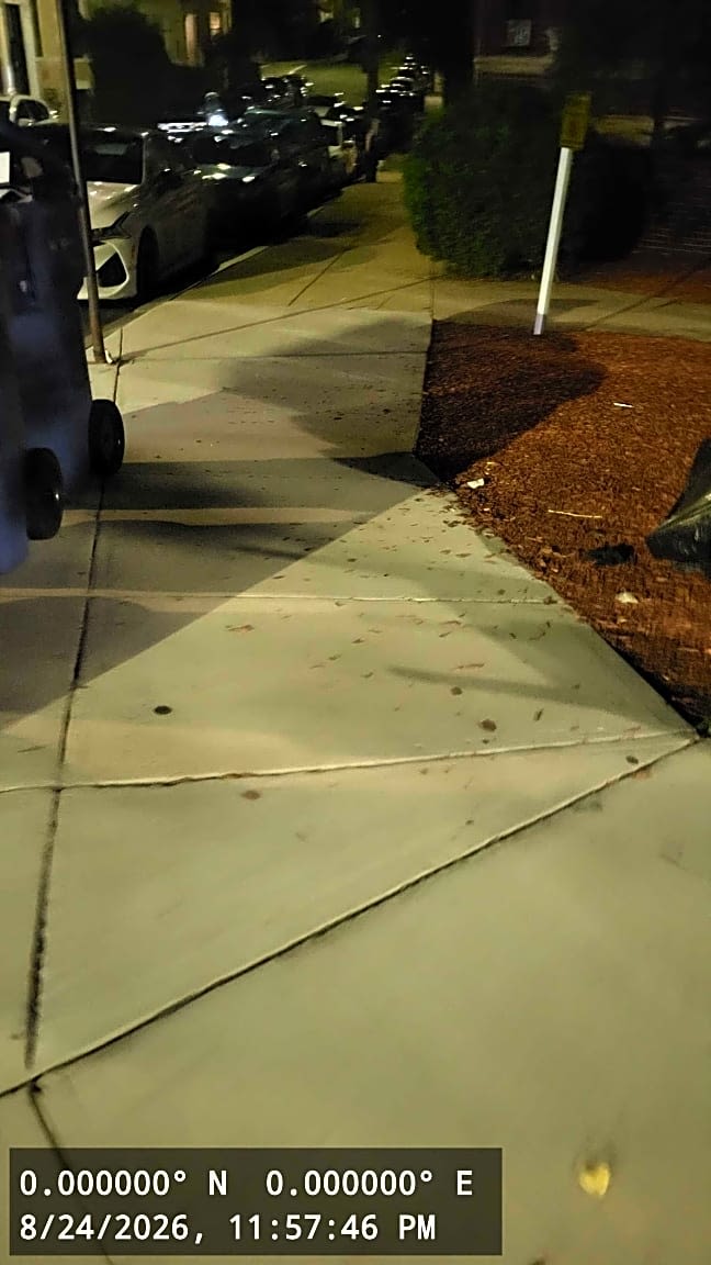 Image submitted with report