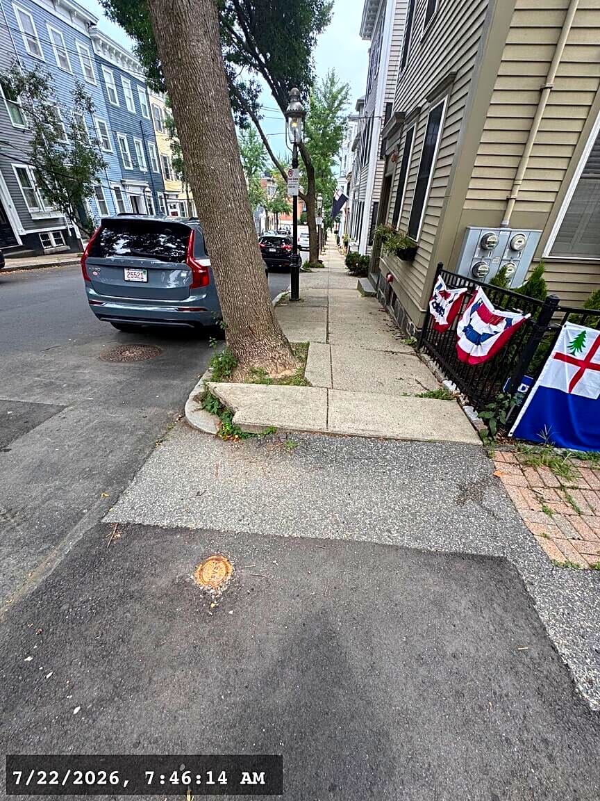 Image submitted with report