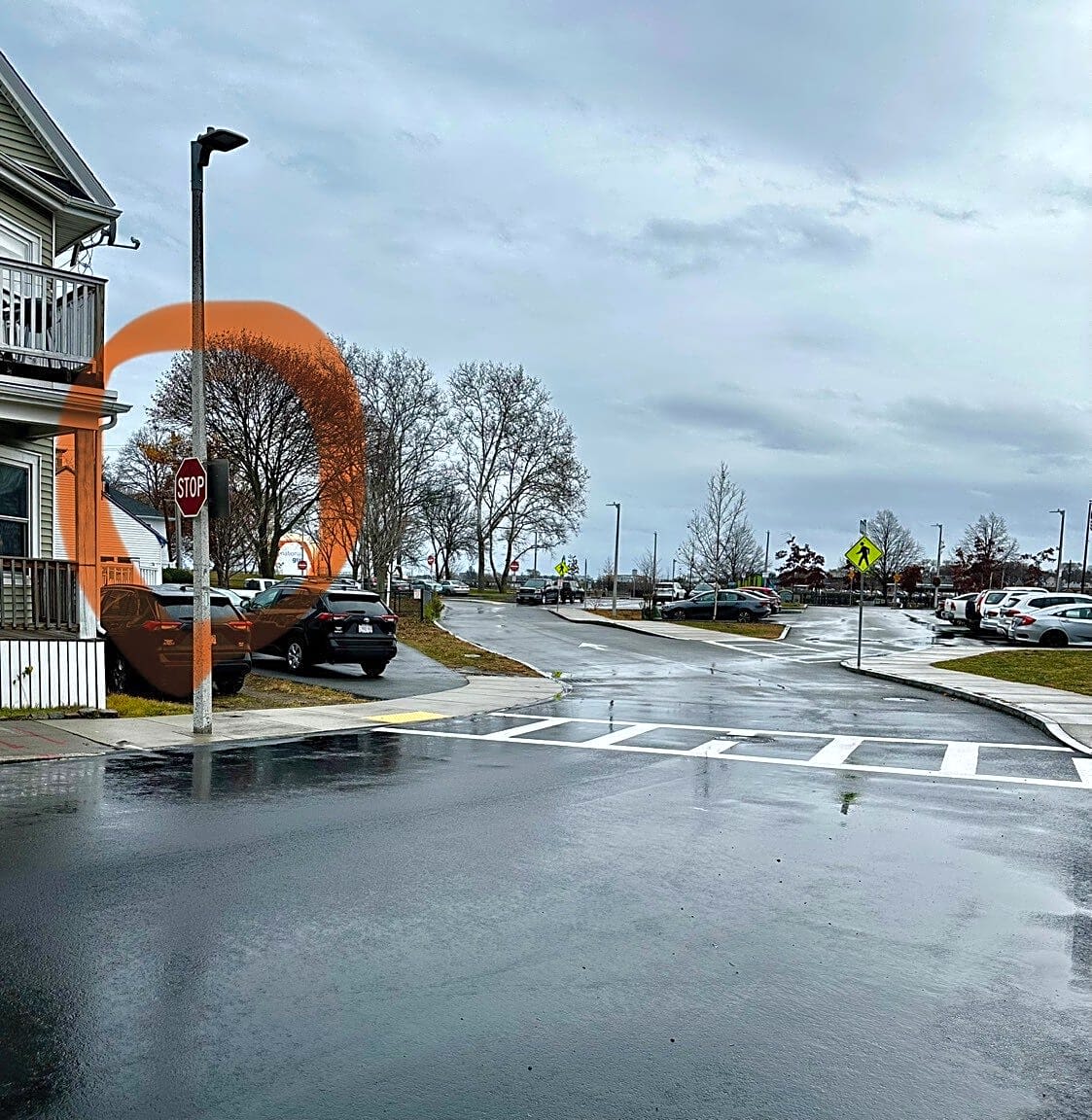 Image submitted with report