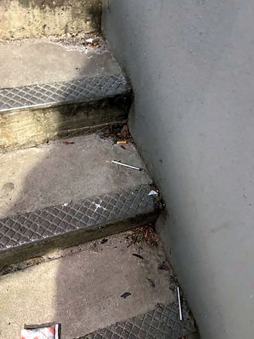 Image submitted with report