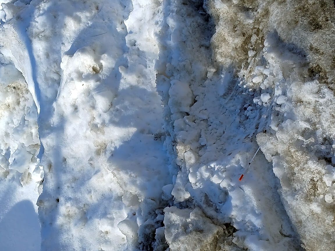 Image submitted with report