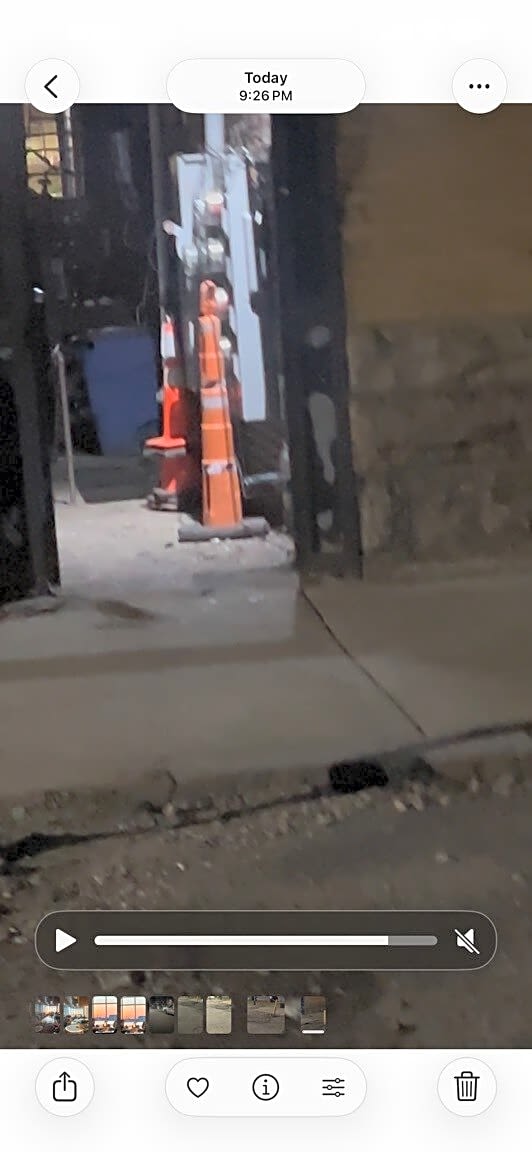 Image submitted with report