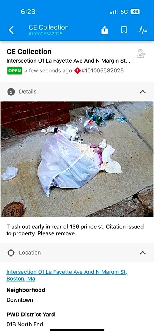 Image submitted with report