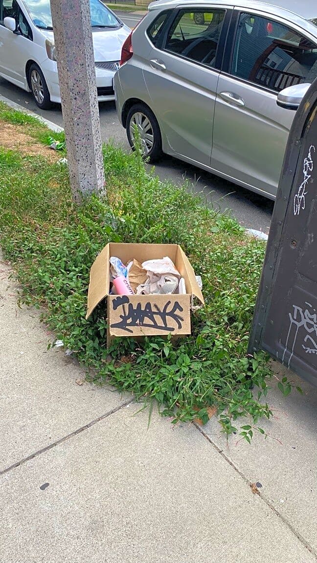 Image submitted with report