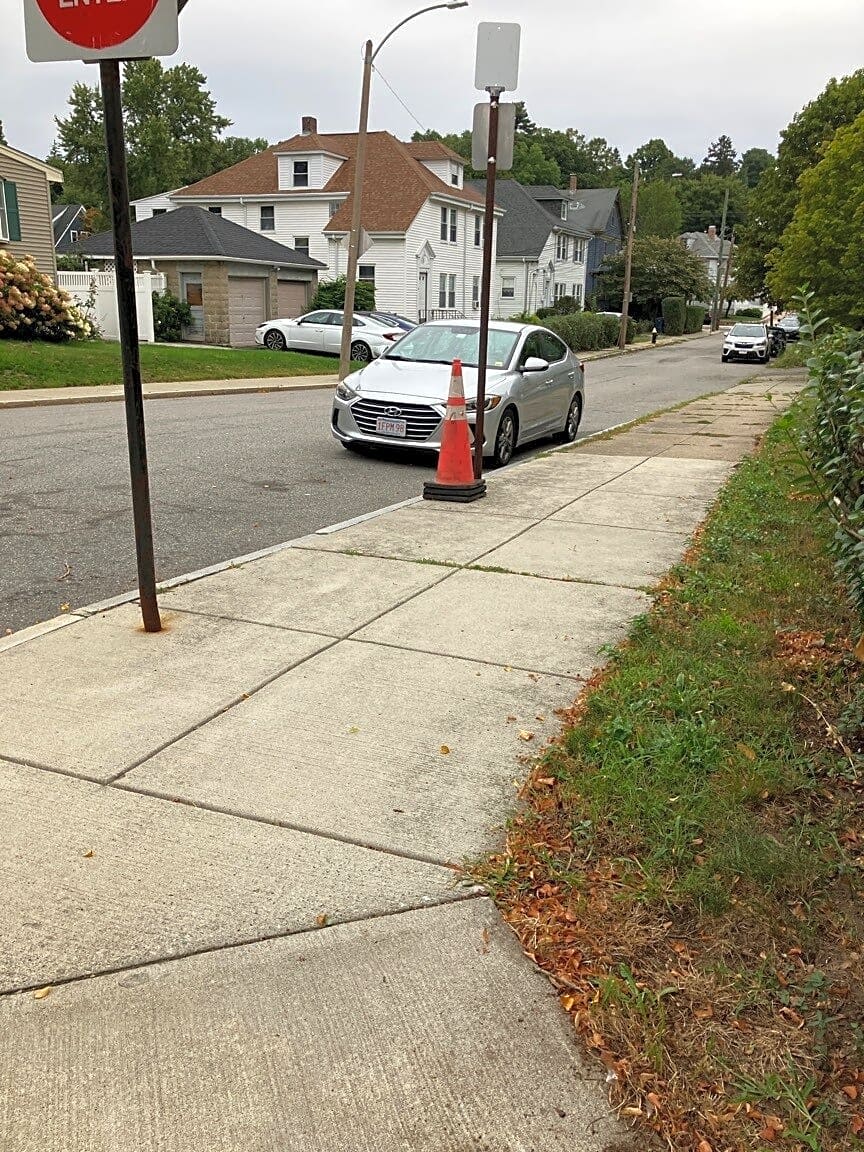 Image submitted with report