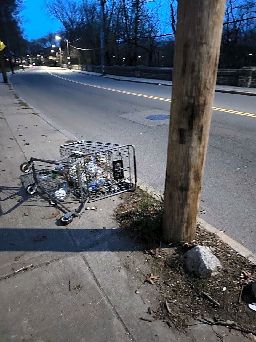 Image submitted with report