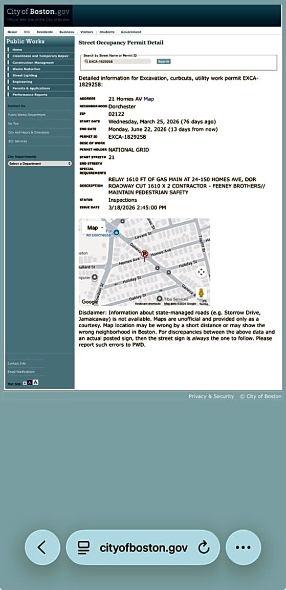 Image submitted with report