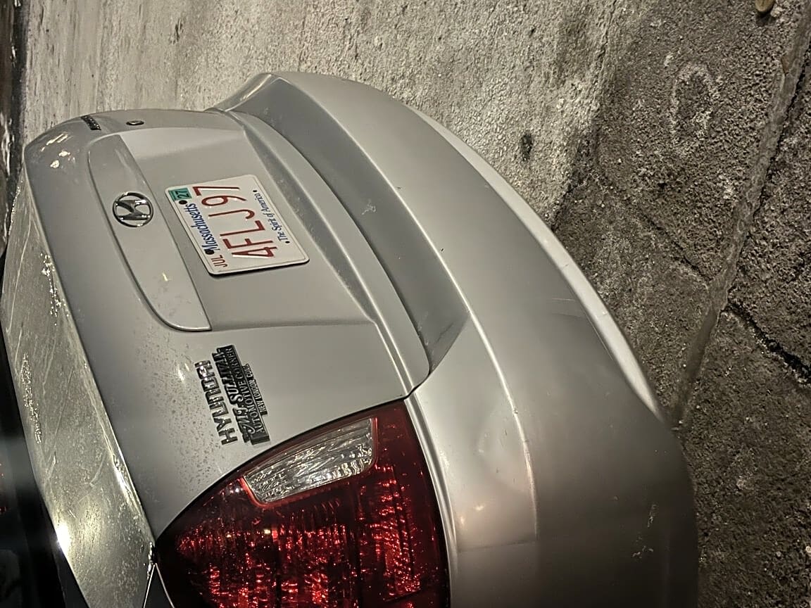 Image submitted with report