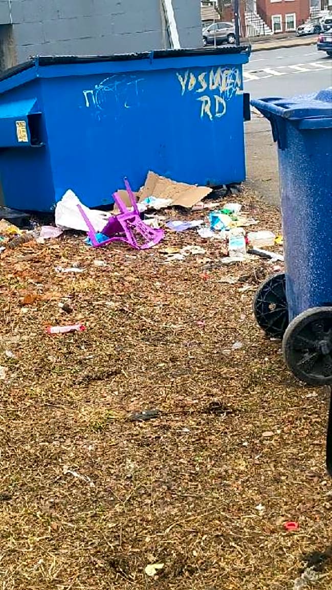 Image submitted with report