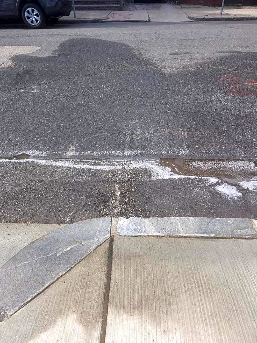 Image submitted with report