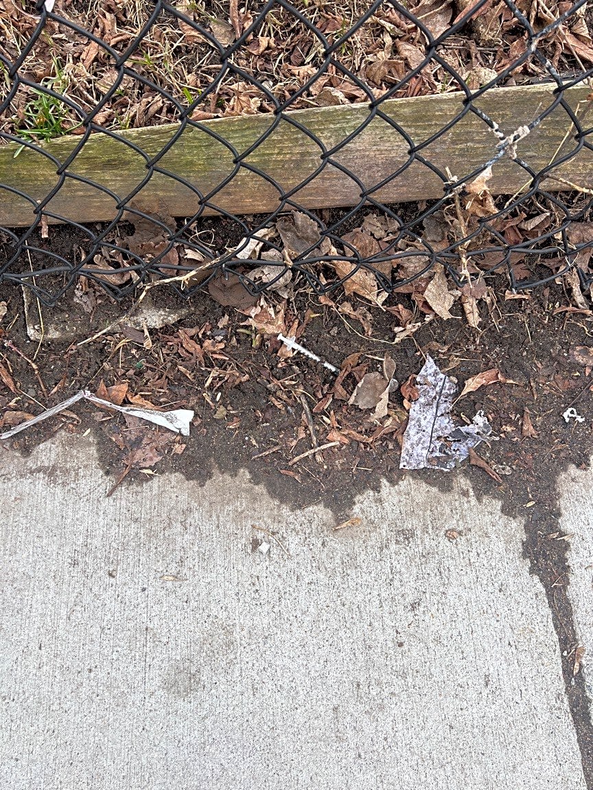 Image submitted with report