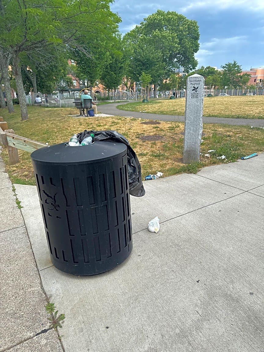Image submitted with report