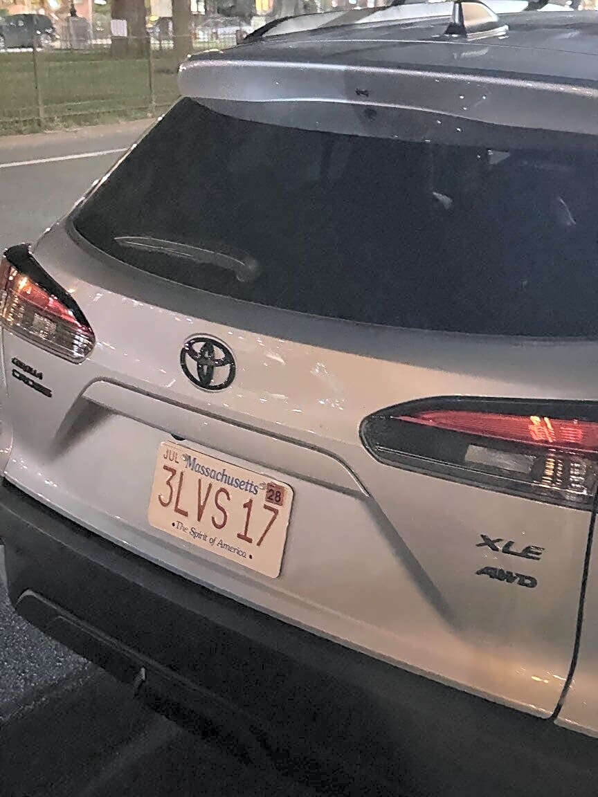 Image submitted with report