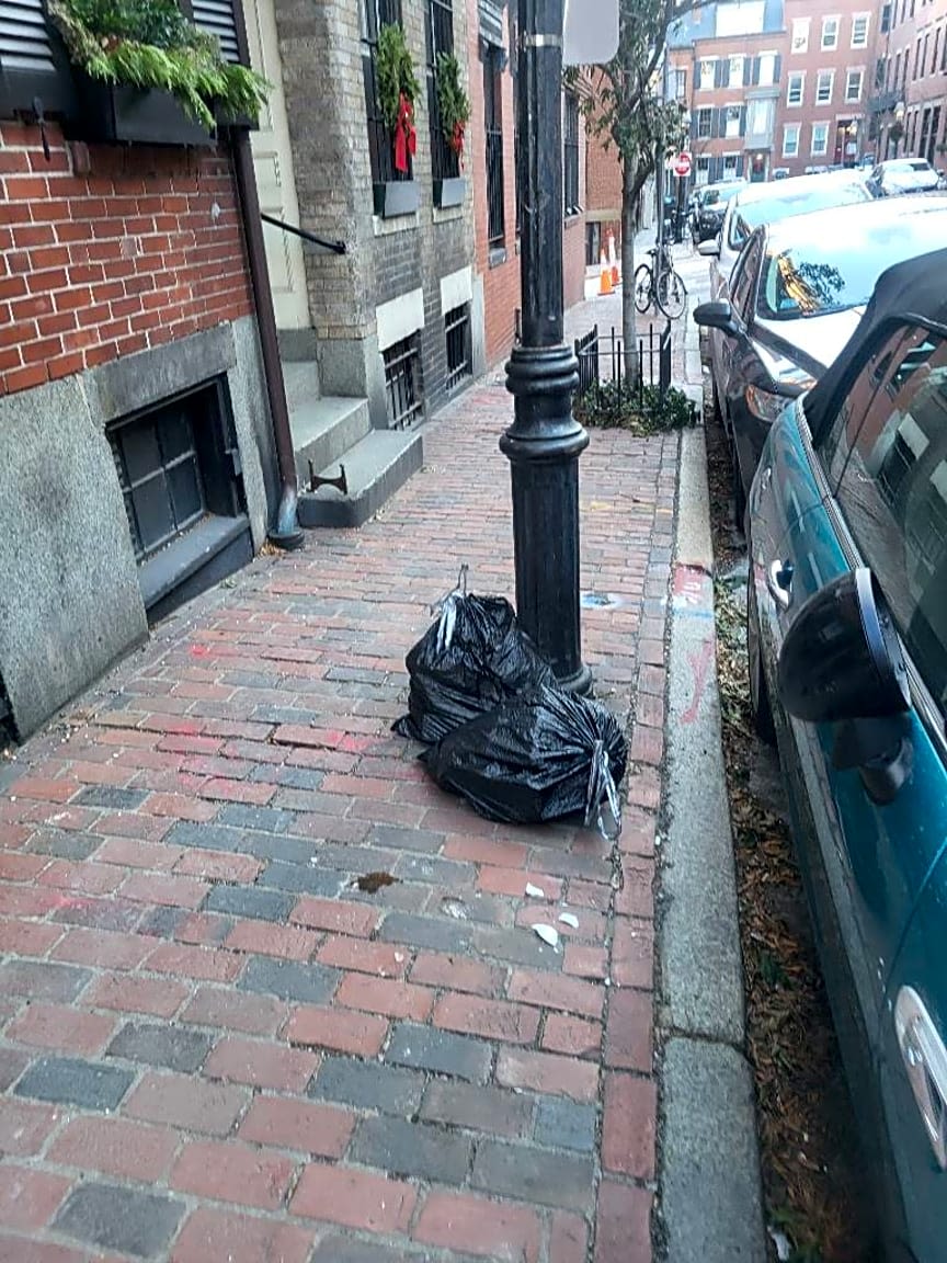 Image submitted with report