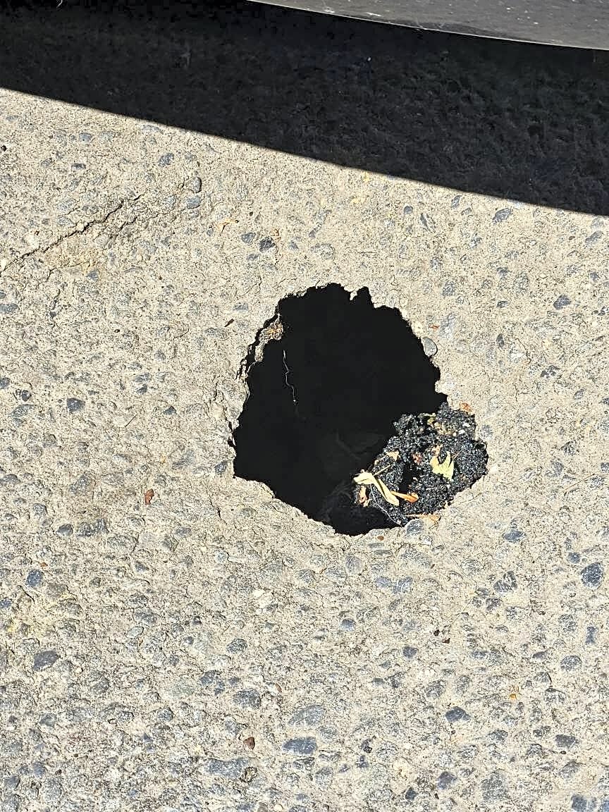 Image submitted with report
