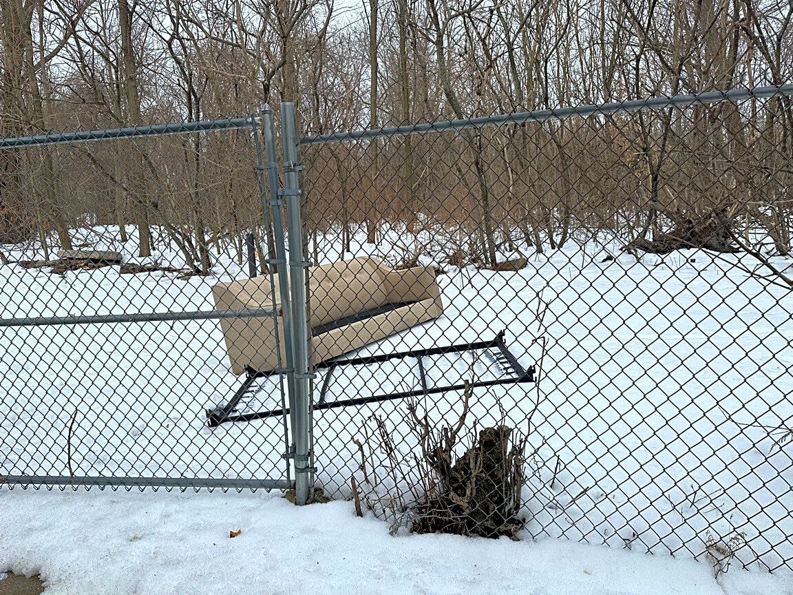 Image submitted with report