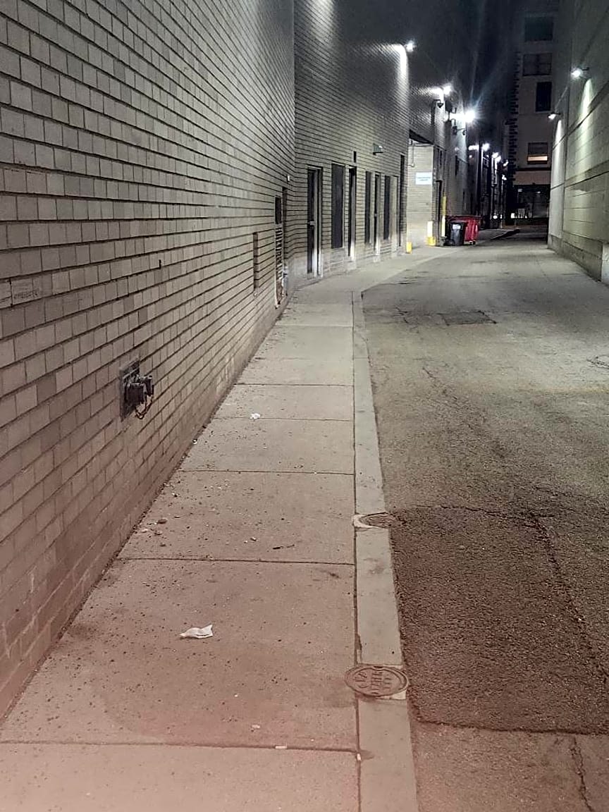 Image submitted with report