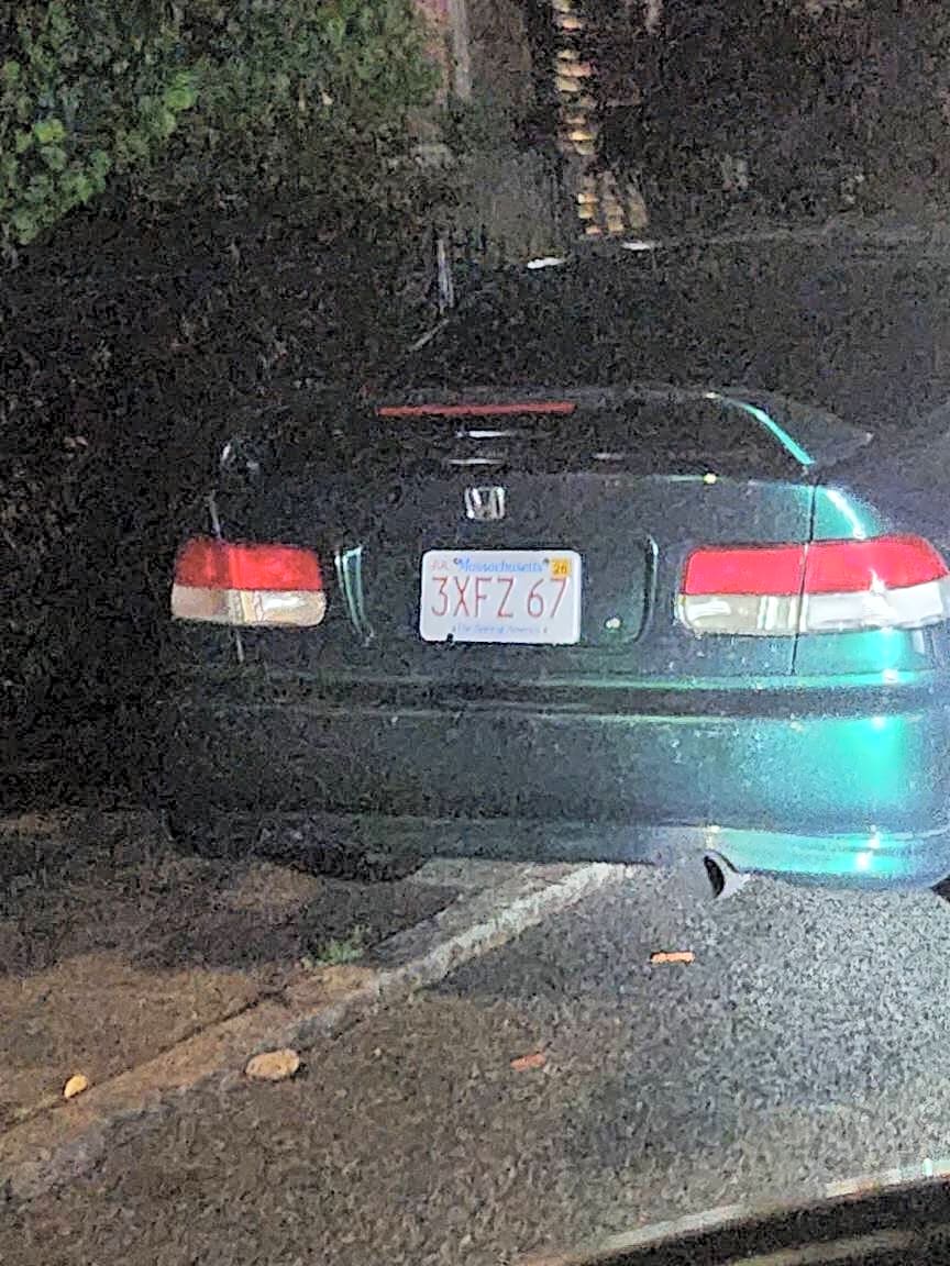 Image submitted with report