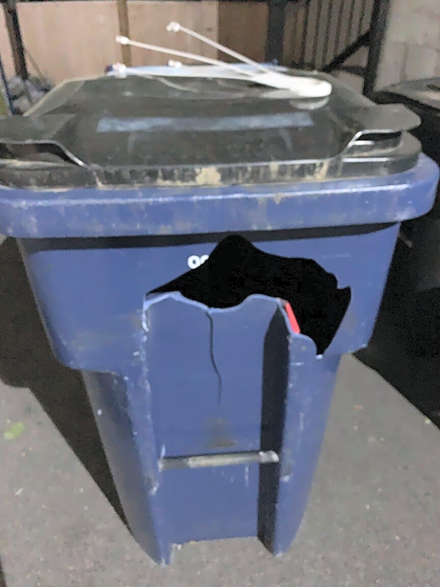 Image submitted with report