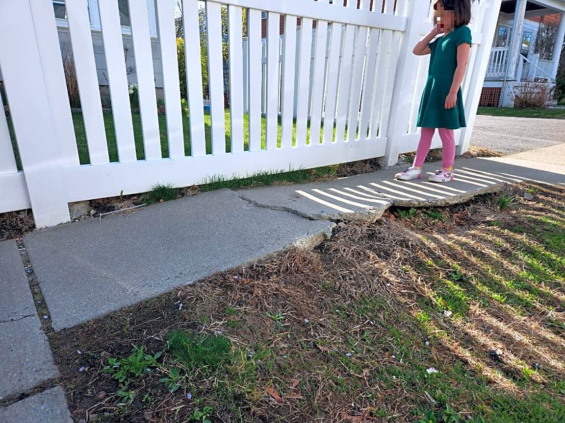 Image submitted with report