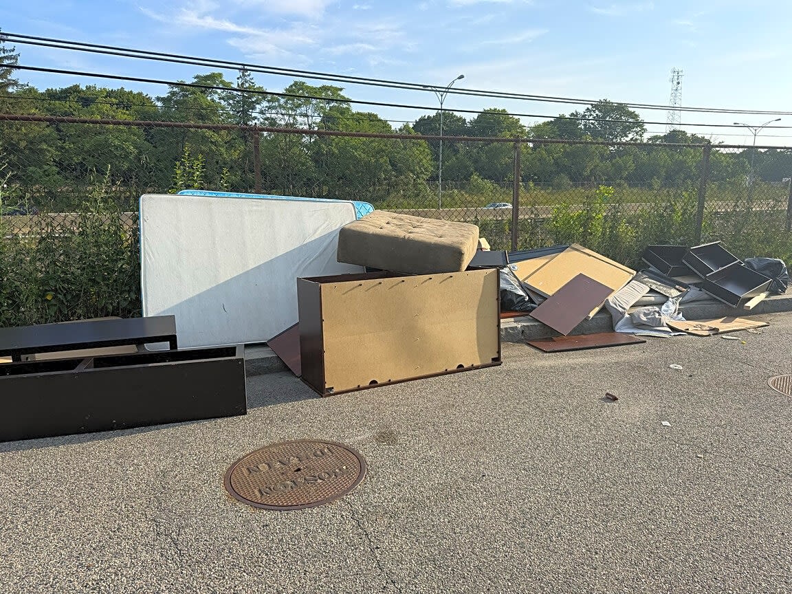 Image submitted with report