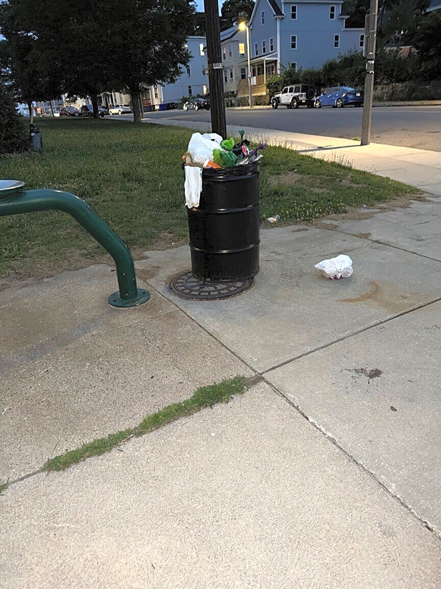 Image submitted with report