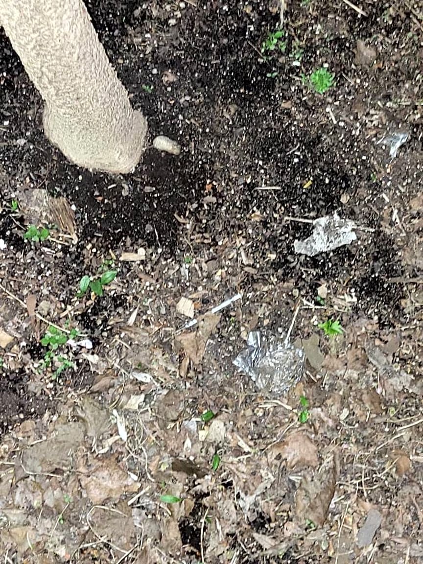 Image submitted with report