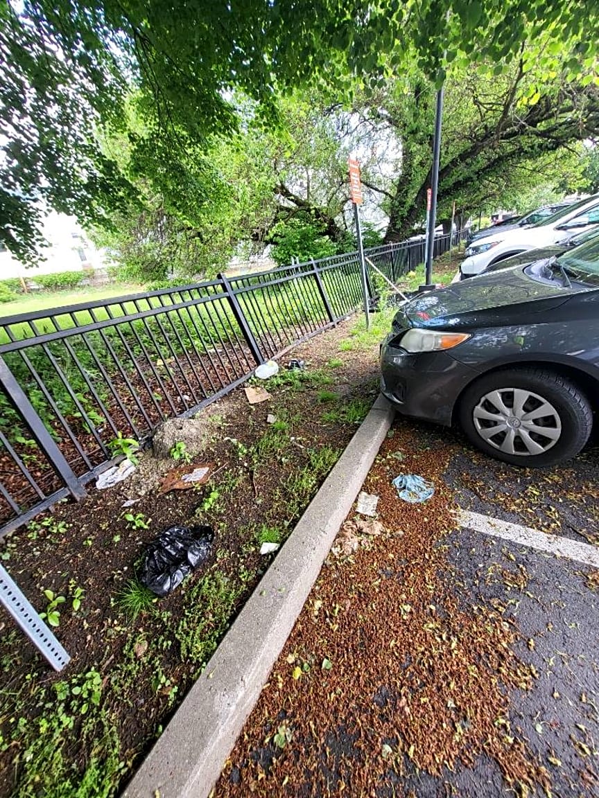 Image submitted with report